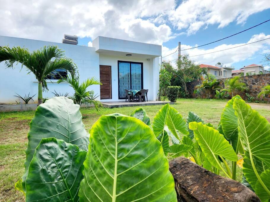 La Maison D'Isa アルビオン エクステリア 写真